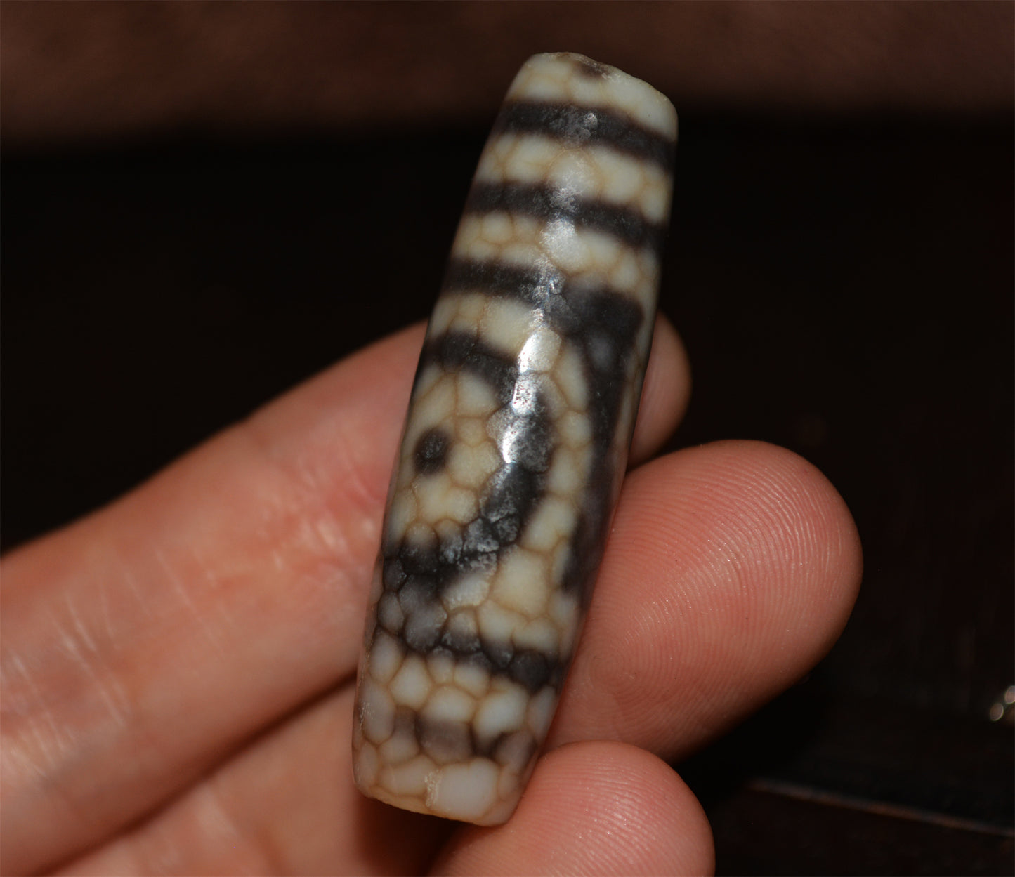 Ancient Tibetan Real Two Eye Dzi Bead Amulet Himalayan Pendant Agate Pure 2 Eyed Gzi Old Antique Genuine Talisman Bracelet
