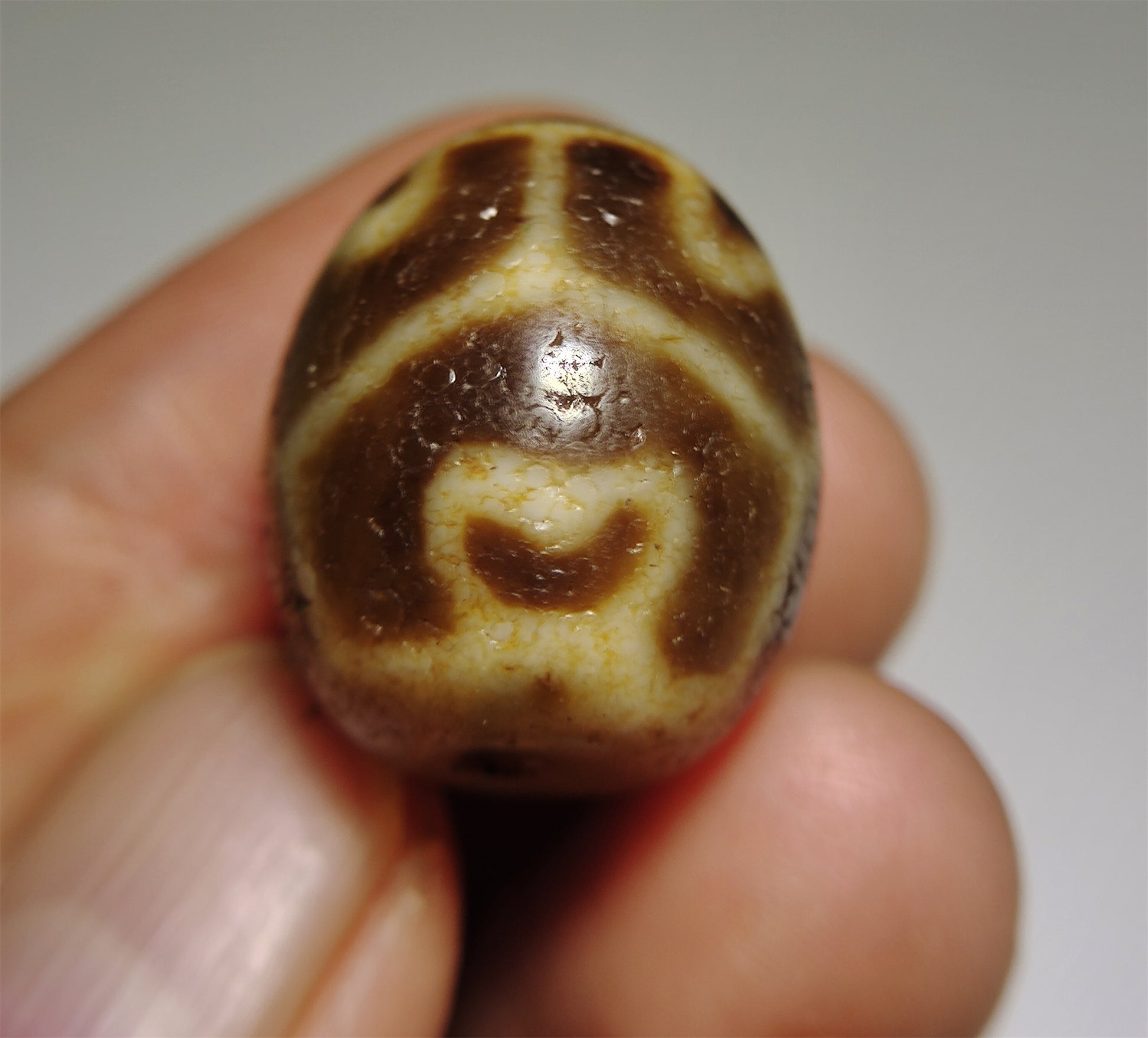Real Himalayas Ancient Six Eyes Lotus Dzi Bead Pendant Amulet Tibet Agate Genuine Gzi Old Antique Talisman