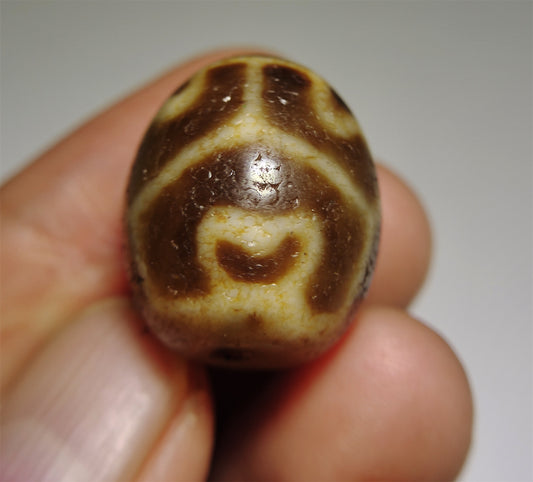 Real Himalayas Ancient Six Eyes Lotus Dzi Bead Pendant Amulet Tibet Agate Genuine Gzi Old Antique Talisman