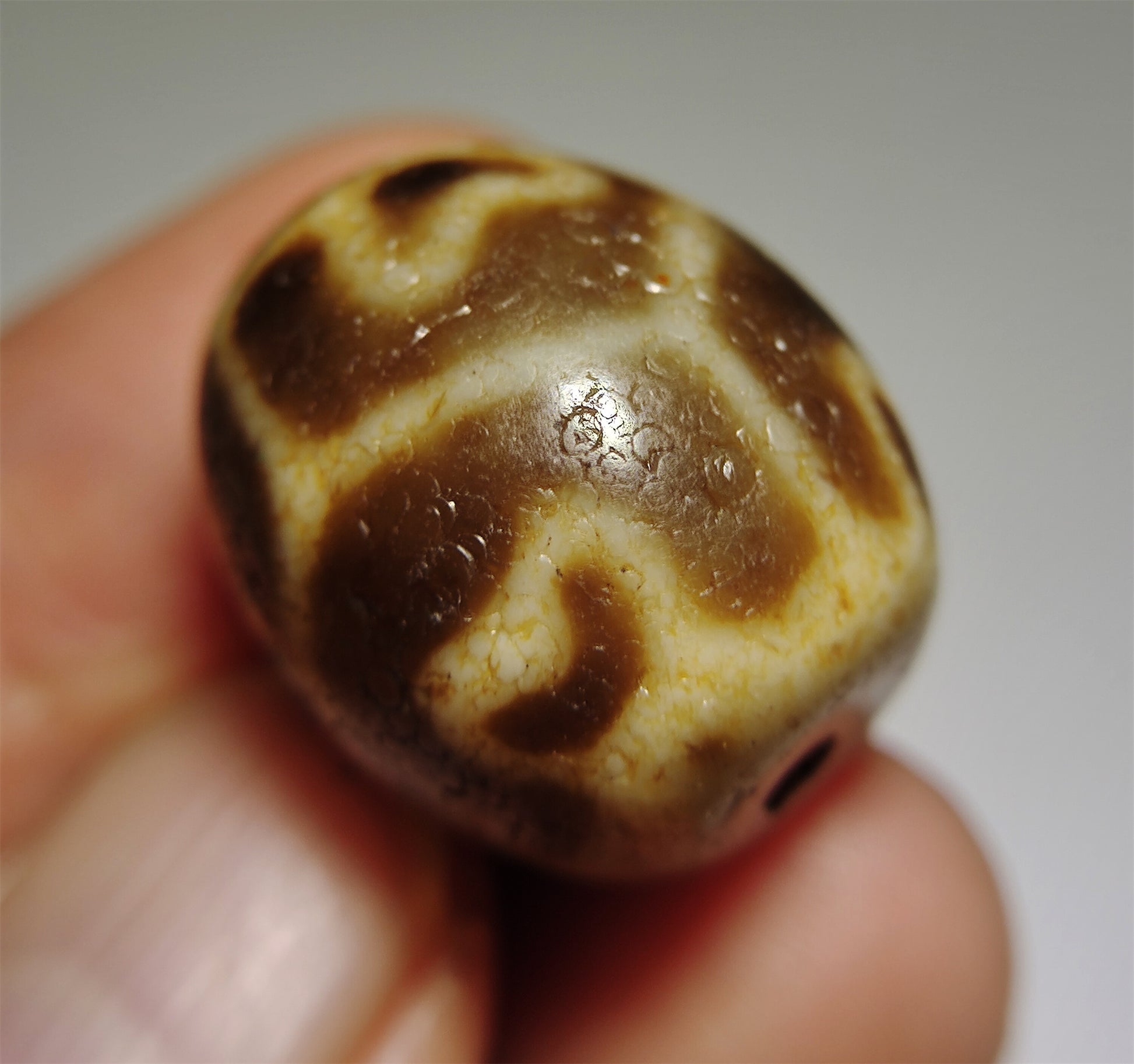 Real Himalayas Ancient Six Eyes Lotus Dzi Bead Pendant Amulet Tibet Agate Genuine Gzi Old Antique Talisman