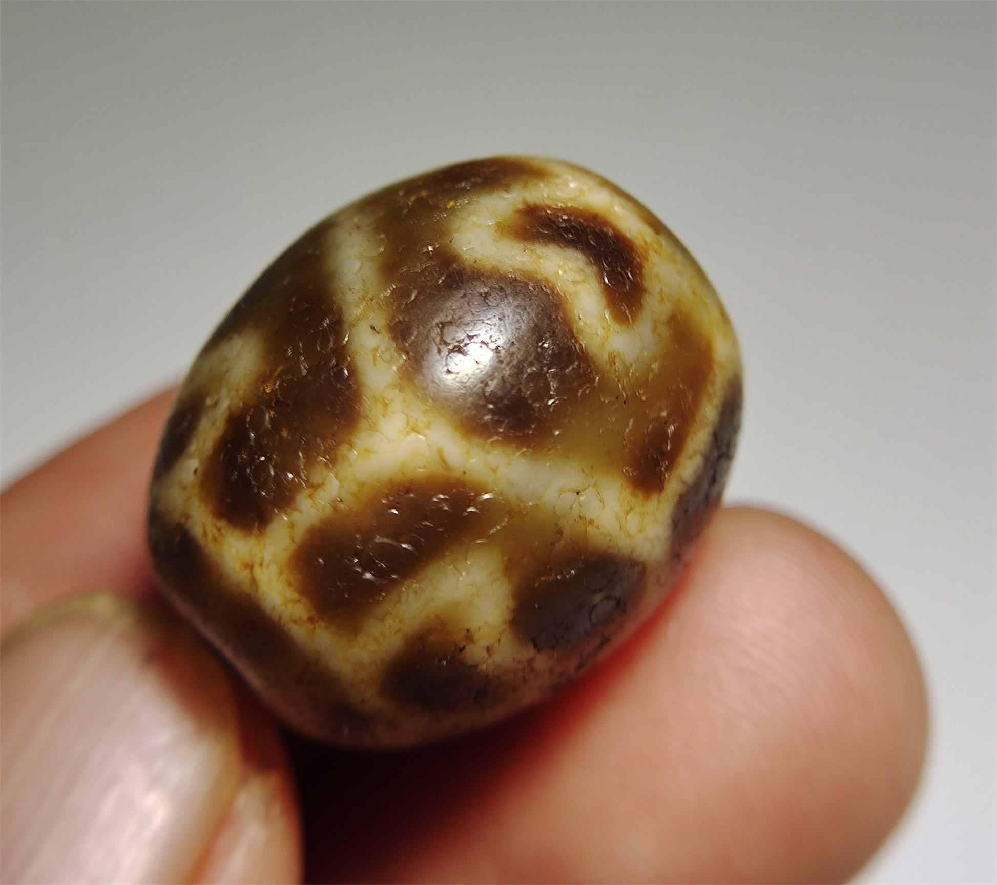Real Himalayas Ancient Six Eyes Lotus Dzi Bead Pendant Amulet Tibet Agate Genuine Gzi Old Antique Talisman