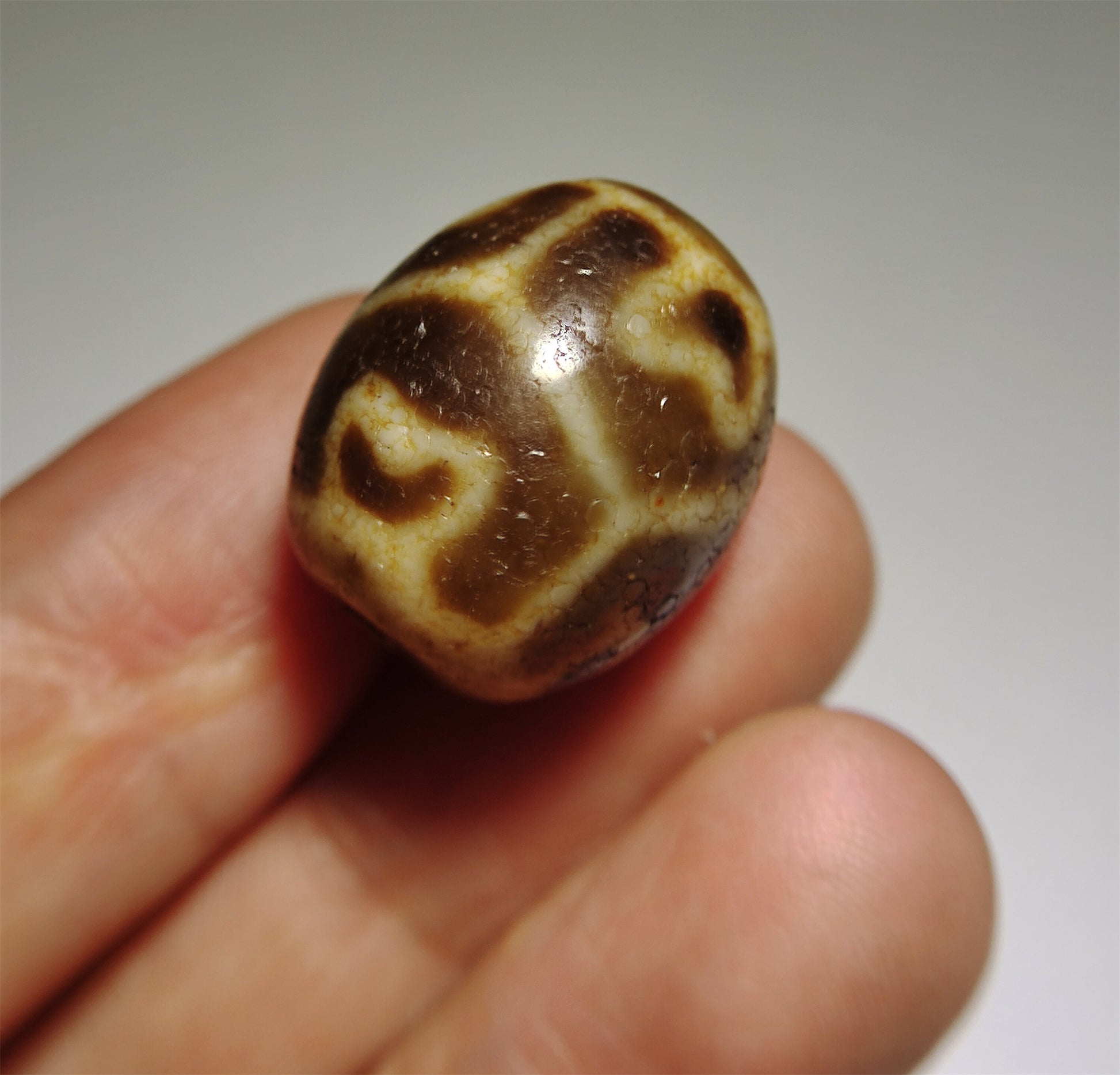 Real Himalayas Ancient Six Eyes Lotus Dzi Bead Pendant Amulet Tibet Agate Genuine Gzi Old Antique Talisman