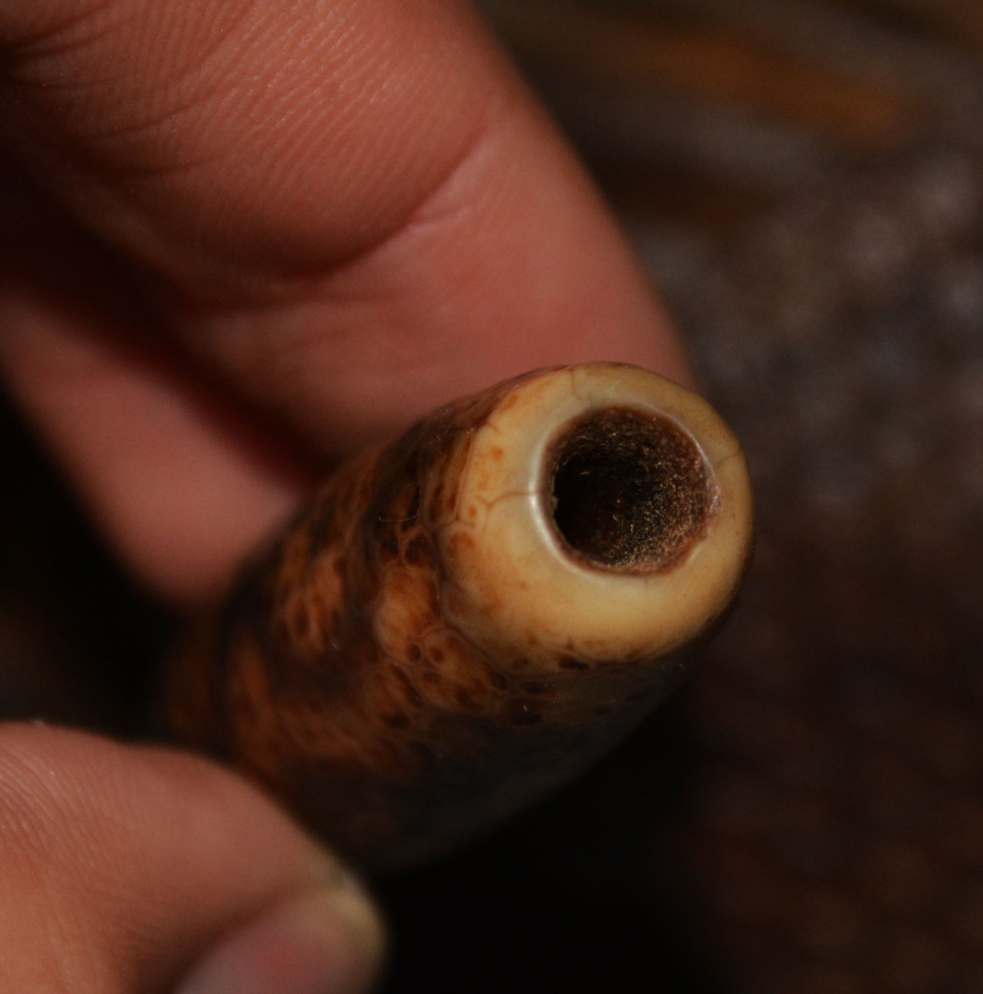 Real Himalayas Old Ancient Three Eyes Dzi Bead Pendant Talisman Tibet Agate Stone Pure 3 Eyed Gzi Amulet Bracelet