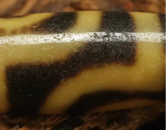 Real Tibetan Ancient Two Eyes Dzi Bead Amulet Pendant Himalayan Old Antique Genuine Agate 2 Eyed Pure Gzi Talisman Bracelet