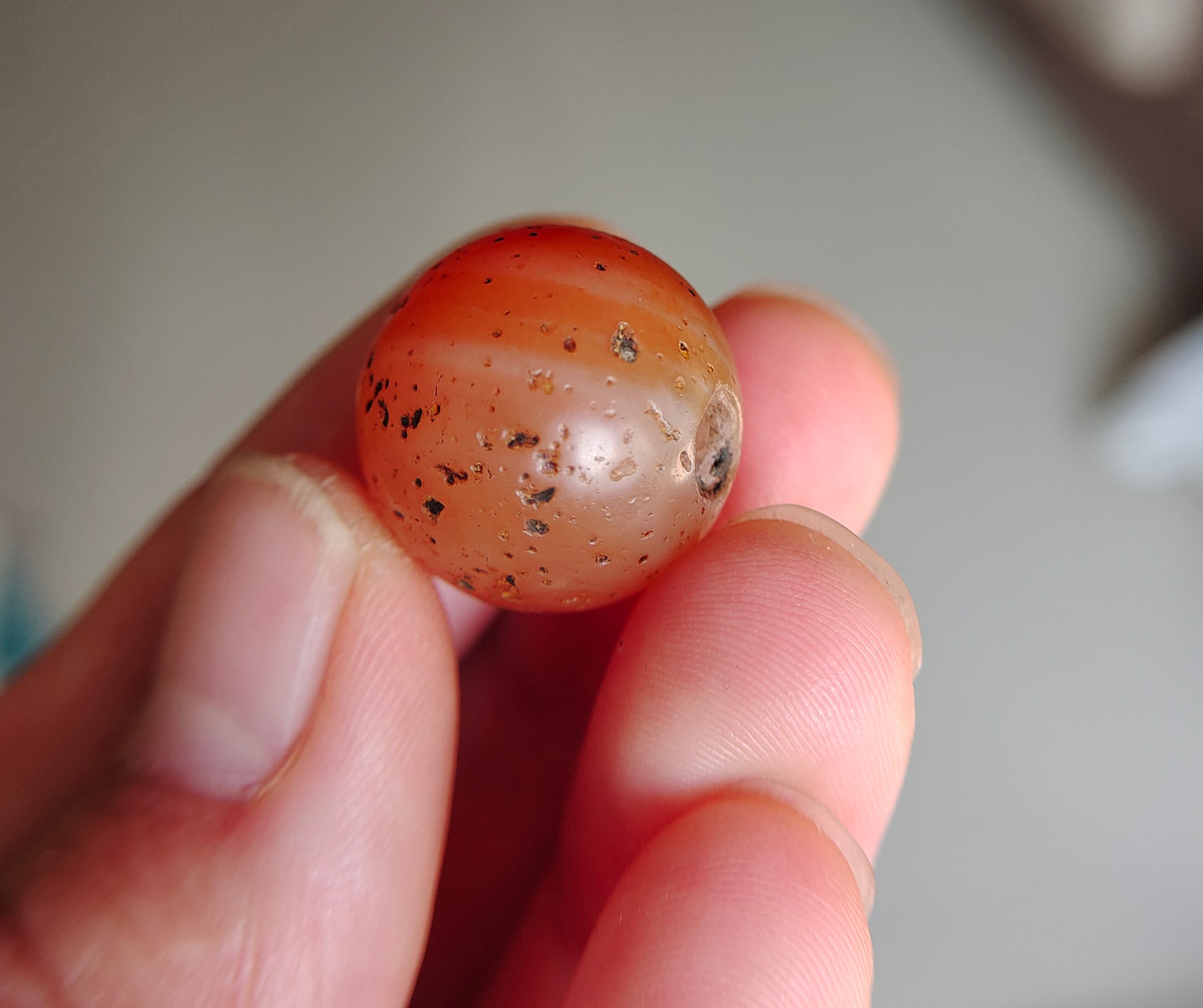 Real Tibetan Old Ancient Pema Raka Agate Bead Nanhong Red Carnelian Pendant Himalayan Genuine Amulet