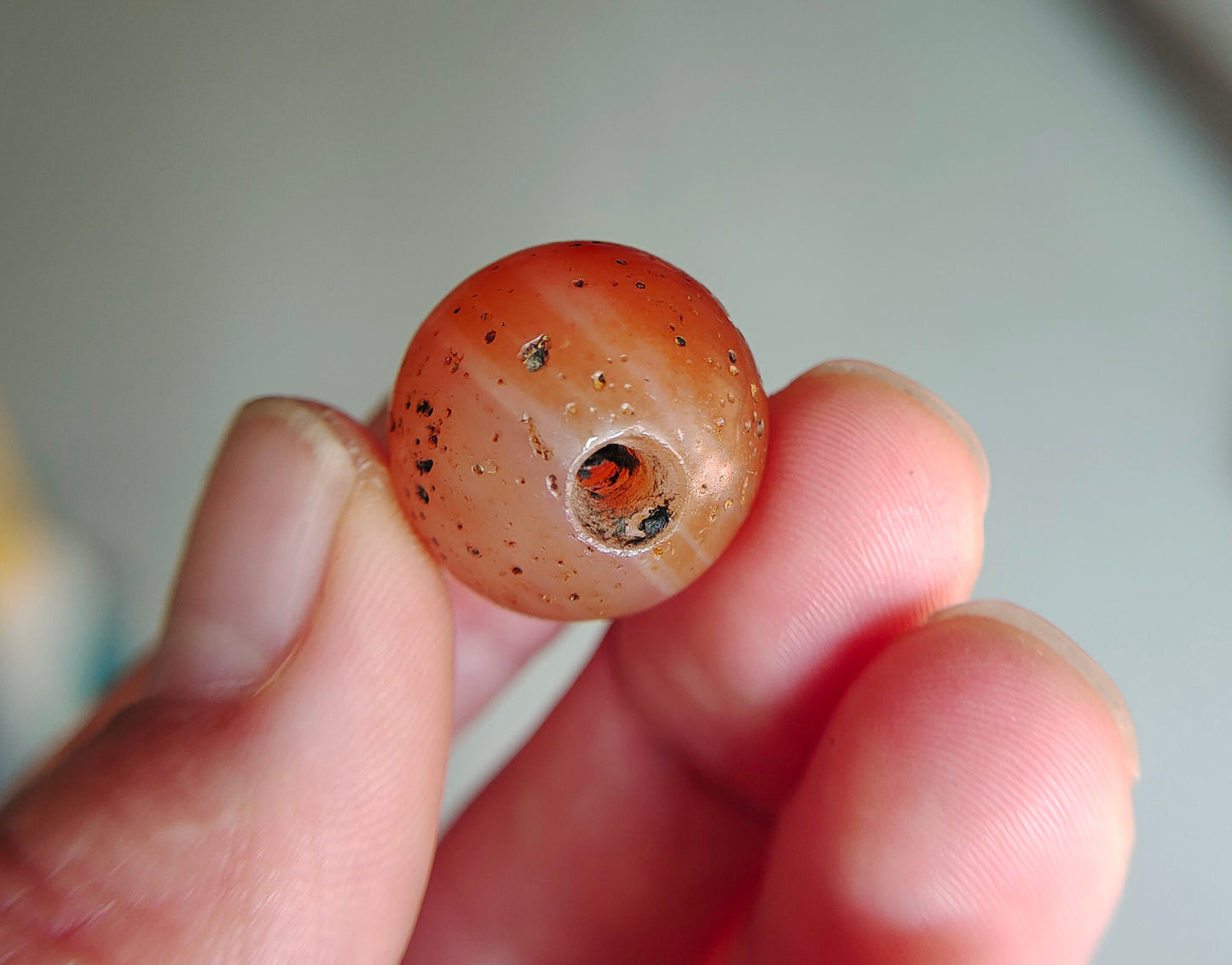 Real Tibetan Old Ancient Pema Raka Agate Bead Nanhong Red Carnelian Pendant Himalayan Genuine Amulet
