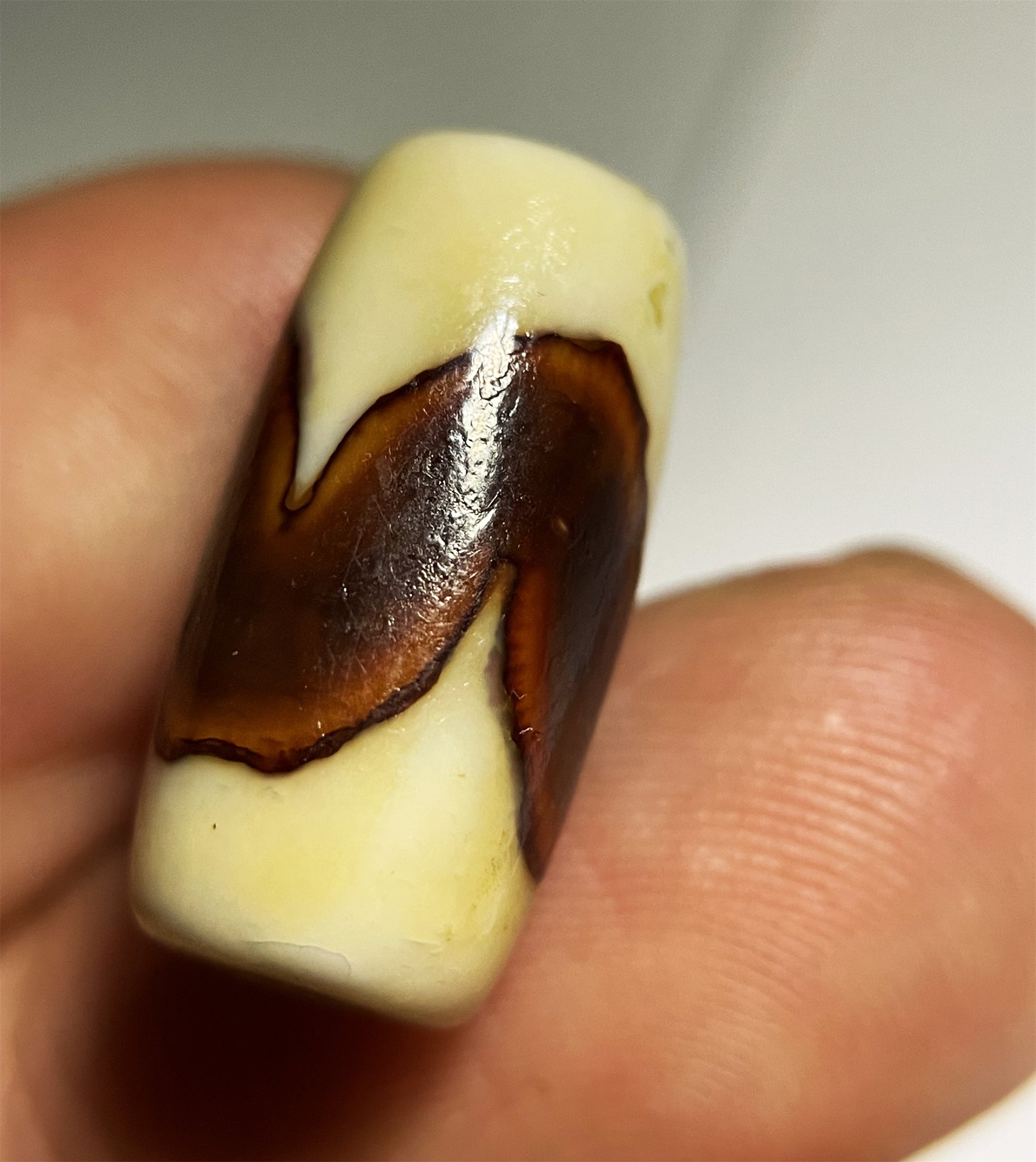 Real Tibetan Old Ancient Tiger Tooth Dzi Bead Amulet Himalayan Pendant Agate Pure Water Wave Zigzag Gzi Antique Talisman Bracelet