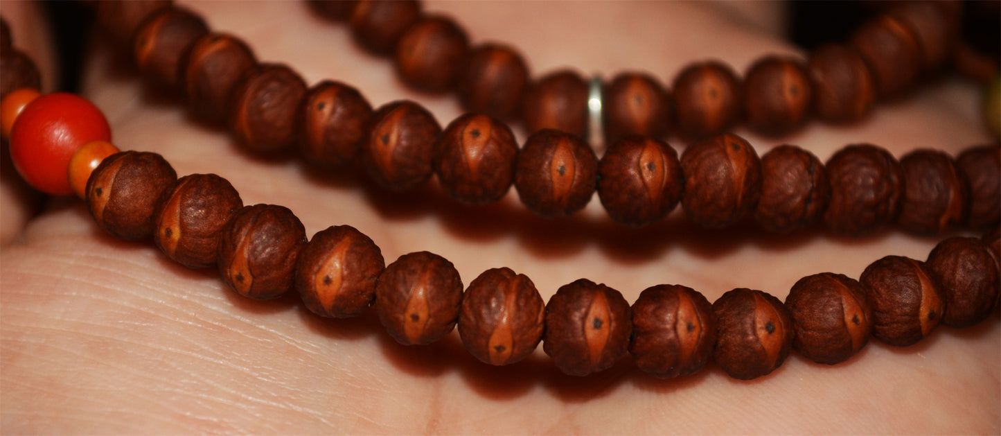 Tibetan Old Antique Phoenix Eye Bodhi Seeds Bracelet Mala Prayer Beads Rosary 108 Nepal Small Fengyan Puti Buddhism
