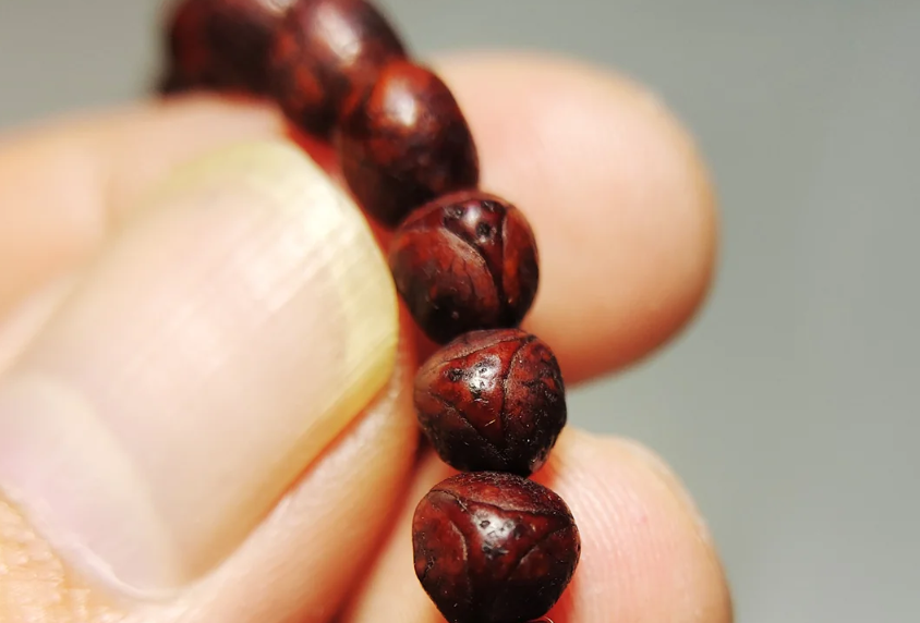Real Tibet Old Antique 108 Phoenix Eye Bodhi Seeds Mala Prayer Beads Rosary Bracelet Nepal Fengyan Puti Buddhism Himalaya