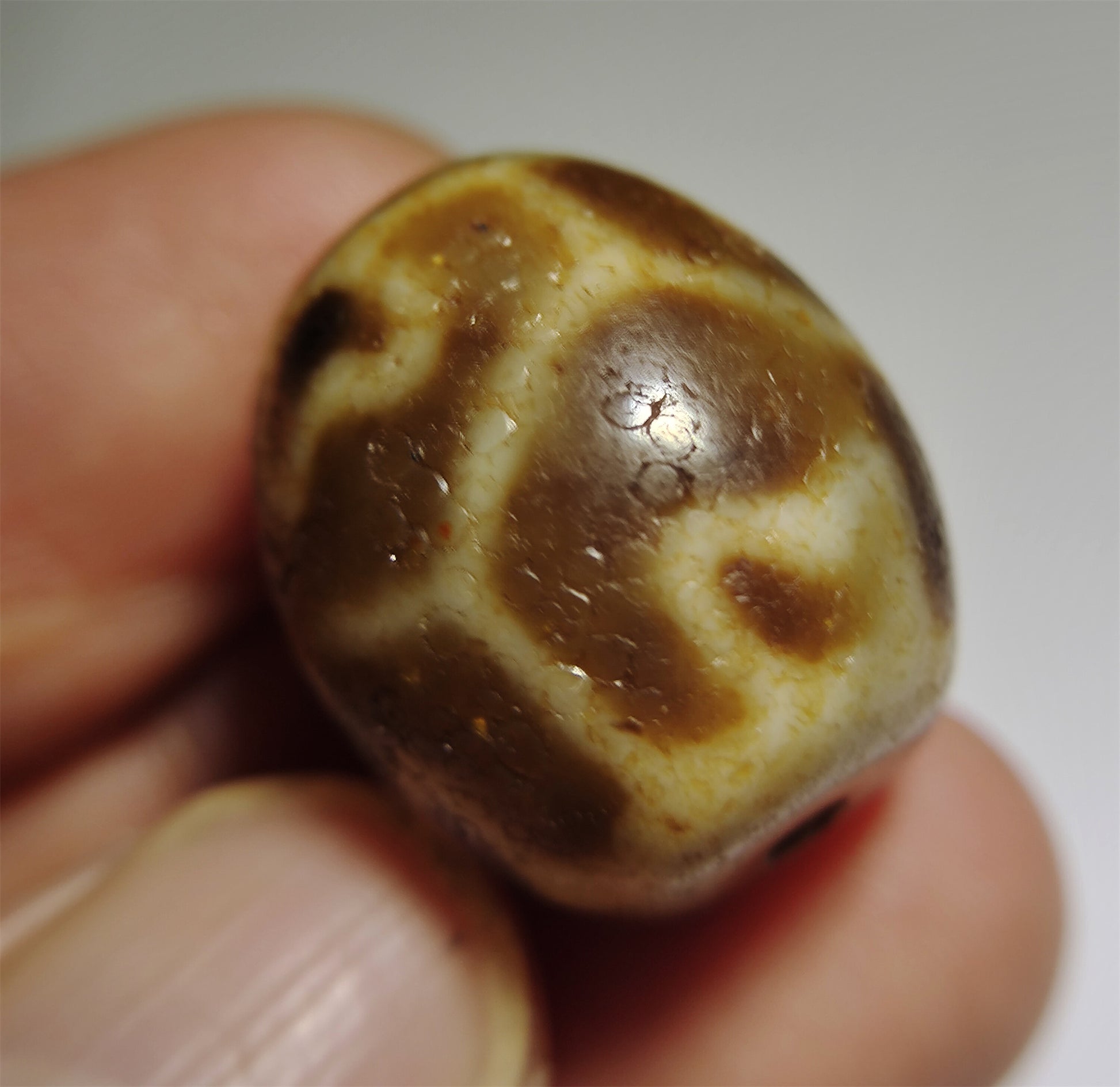 Real Himalayas Ancient Six Eyes Lotus Dzi Bead Pendant Amulet Tibet Agate Genuine Gzi Old Antique Talisman