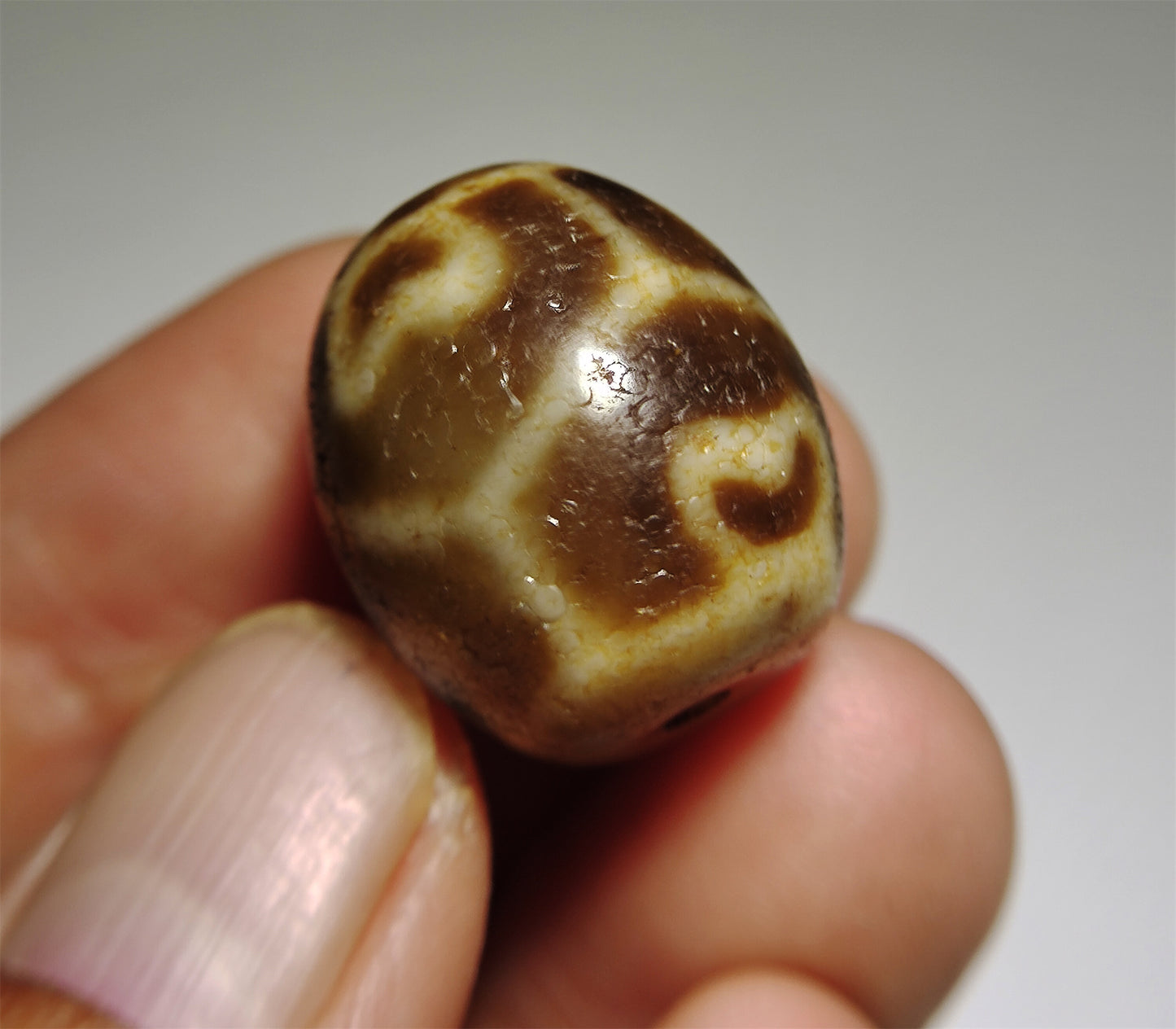 Real Himalayas Ancient Six Eyes Lotus Dzi Bead Pendant Amulet Tibet Agate Genuine Gzi Old Antique Talisman