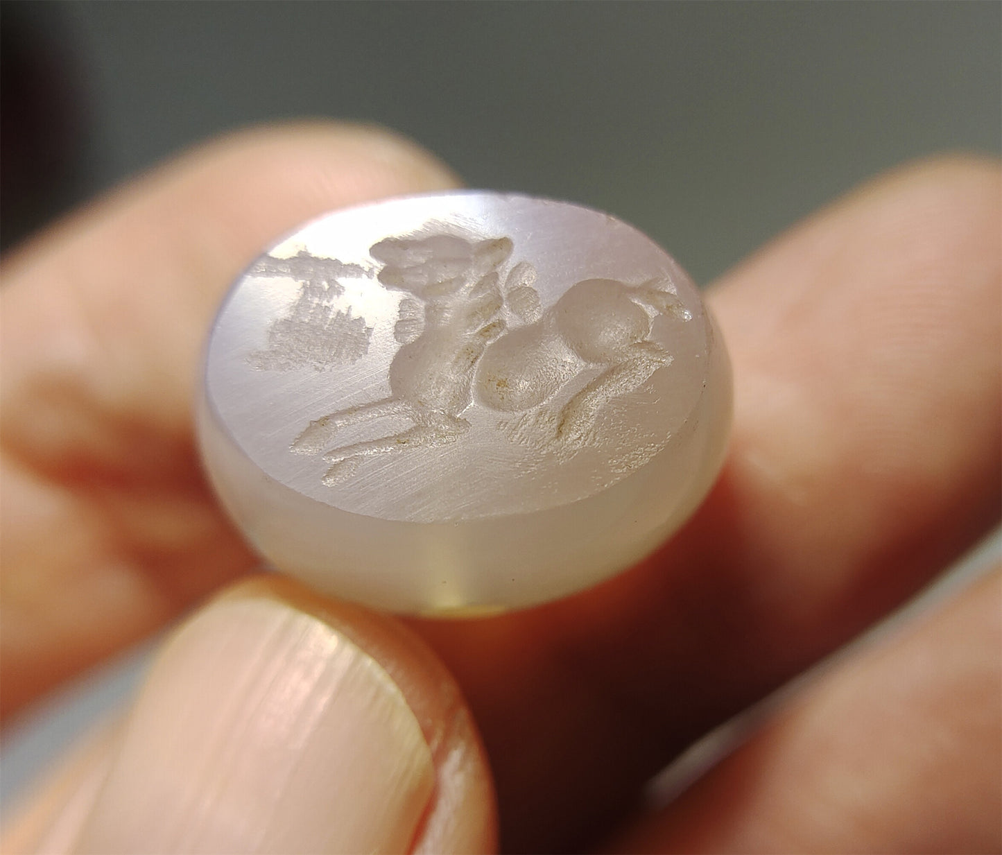 Real Old Ancient Sassanian Seal Agate Stamp Intaglio Horse Bead Carnelian