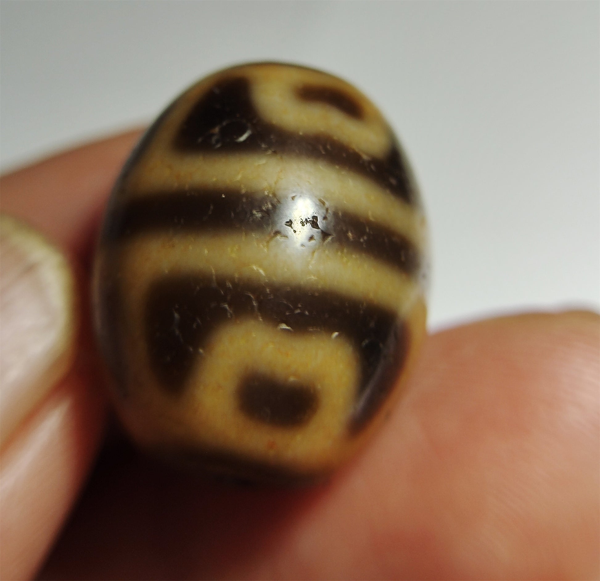 Real Tibet Ancient Six Eyes Lotus Dzi Bead Pendant Amulet Himalayas Agate Genuine Gzi Old Antique Talisman