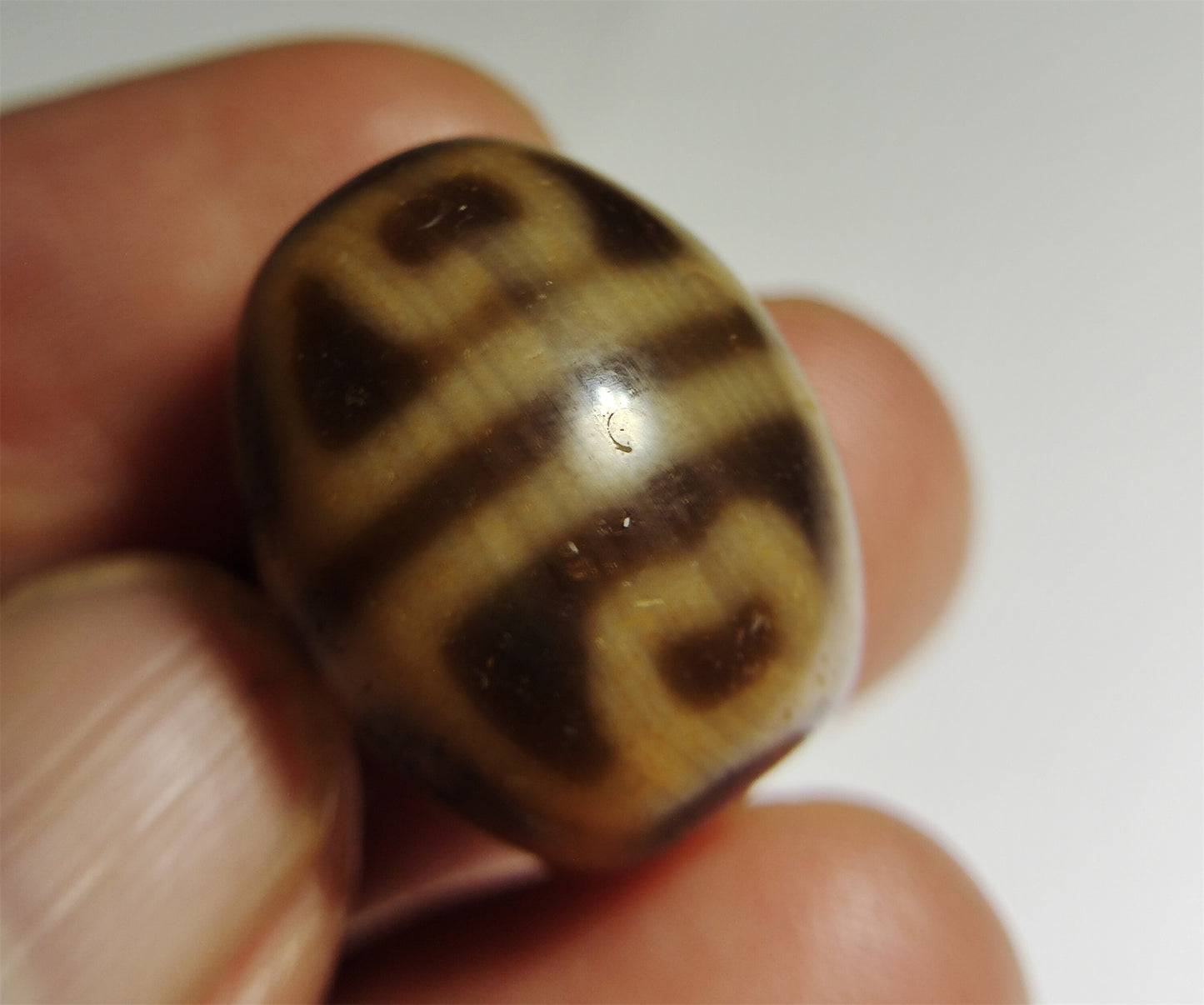 Real Tibet Ancient Six Eyes Lotus Dzi Bead Pendant Amulet Himalayas Agate Genuine Gzi Old Antique Talisman