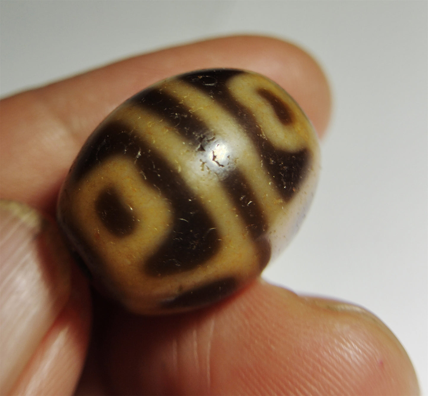 Real Tibet Ancient Six Eyes Lotus Dzi Bead Pendant Amulet Himalayas Agate Genuine Gzi Old Antique Talisman