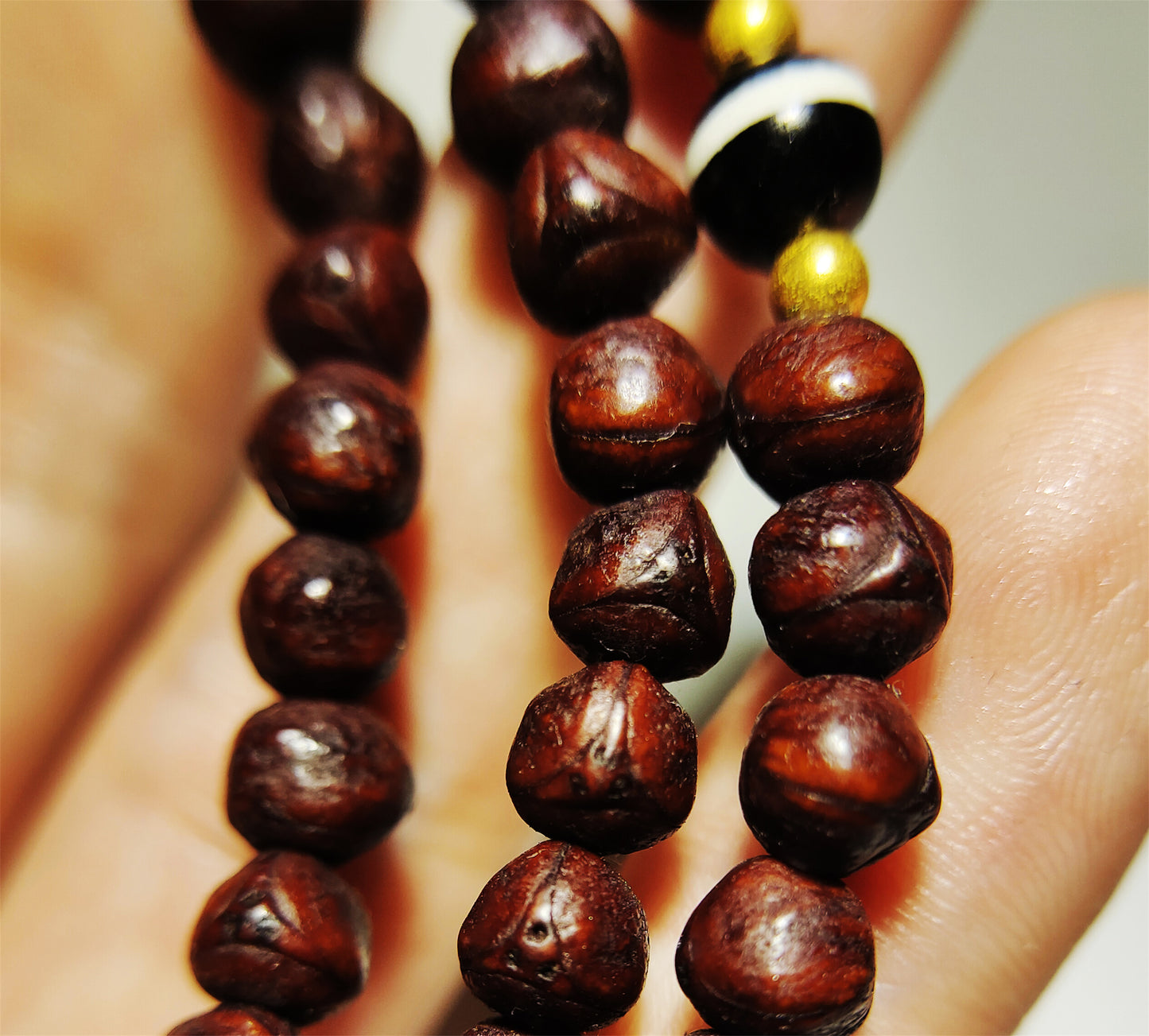 Real Tibet Old Antique 108 Phoenix Eye Bodhi Seeds Mala Prayer Beads Rosary Bracelet Nepal Fengyan Puti Buddhism Himalaya