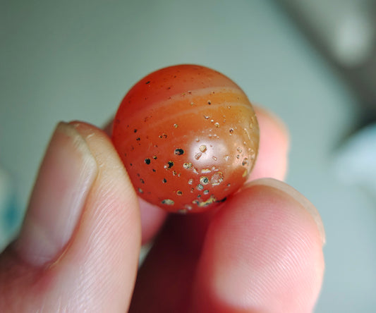 Real Tibetan Old Ancient Pema Raka Agate Bead Nanhong Red Carnelian Pendant Himalayan Genuine Amulet