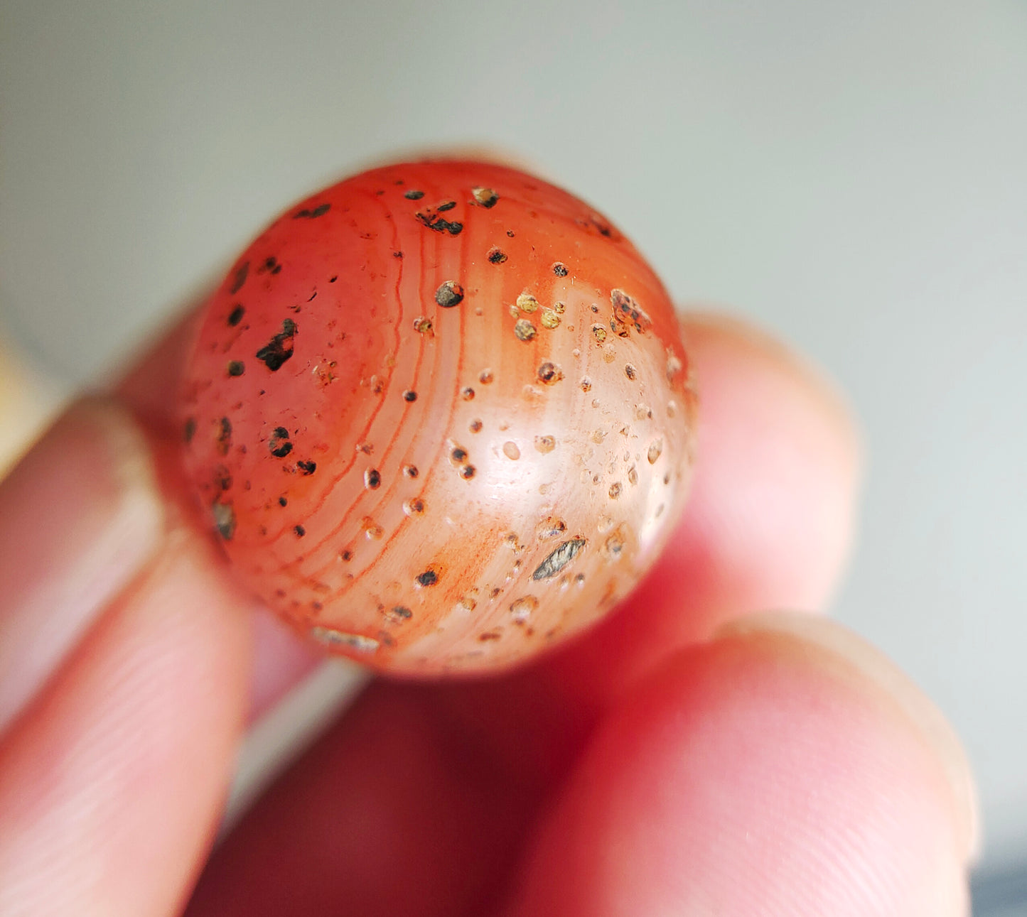 Tibetan Old Ancient Pema Raka Agate Bracelet Bead Nanhong Carnelian Pendant Himalaya Genuine Amulet