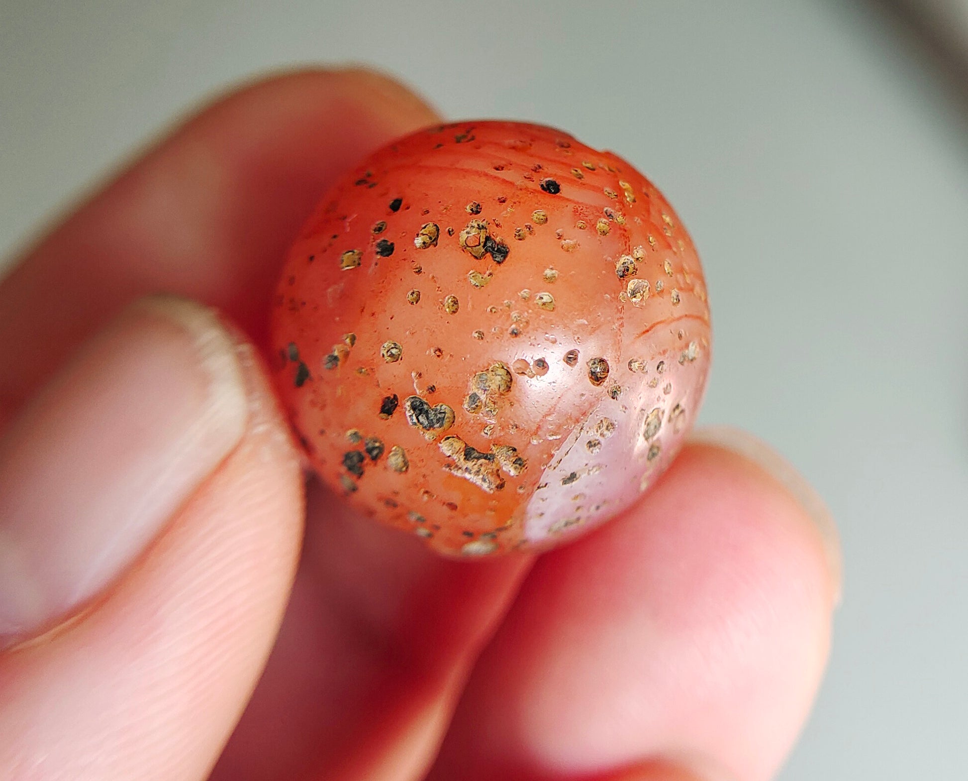 Tibetan Old Ancient Pema Raka Agate Bracelet Bead Nanhong Carnelian Pendant Himalaya Genuine Amulet