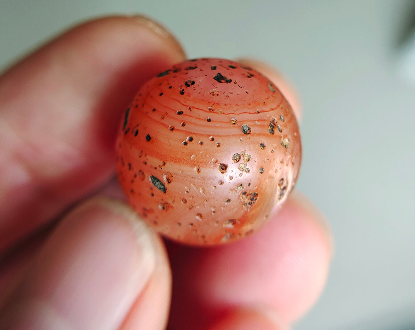 Tibetan Old Ancient Pema Raka Agate Bracelet Bead Nanhong Carnelian Pendant Himalaya Genuine Amulet