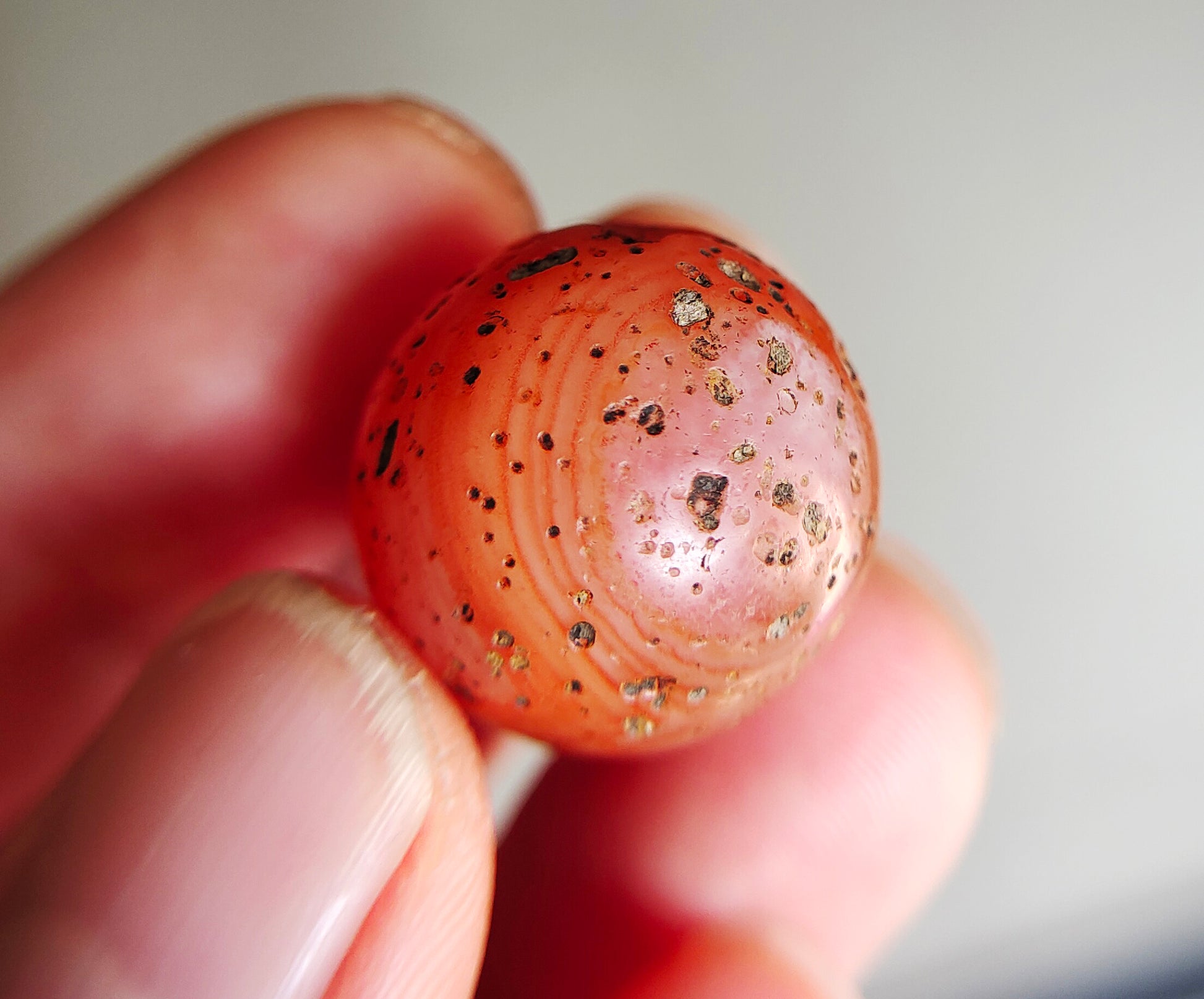 Tibetan Old Ancient Pema Raka Agate Bracelet Bead Nanhong Carnelian Pendant Himalaya Genuine Amulet