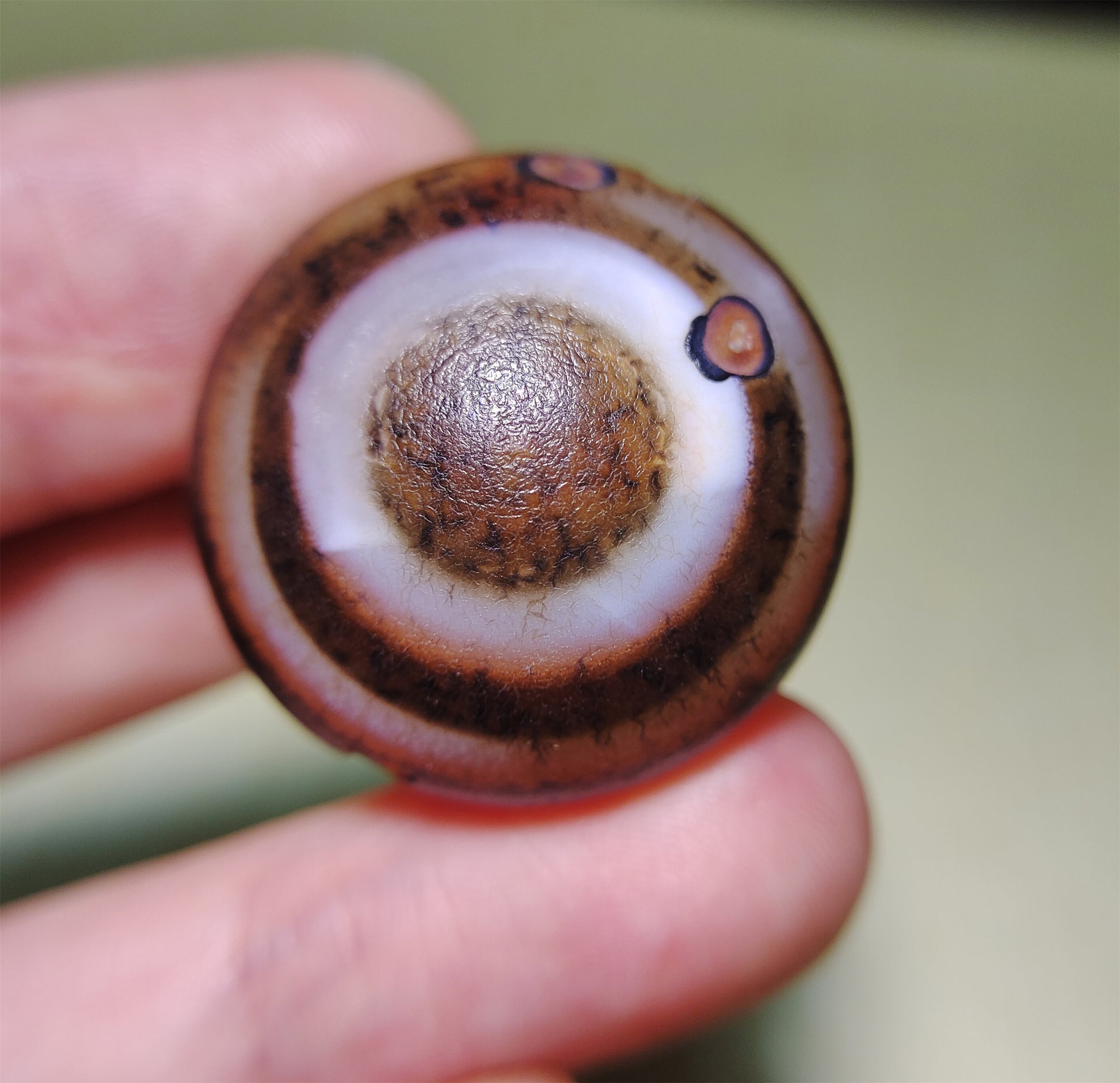 Real Tibetan Ancient Luk Mik Eye Dzi Bead Pendant Amulet Himalaya Agate